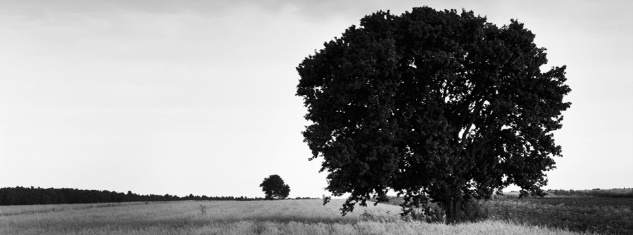 The caption can be really long. Up to 157 characters, just like a text message on your cellphone.